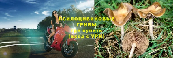 а пвп мука Надым