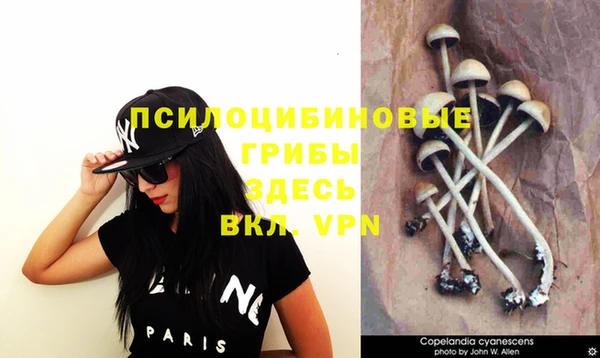 ГАЛЛЮЦИНОГЕННЫЕ ГРИБЫ Навашино