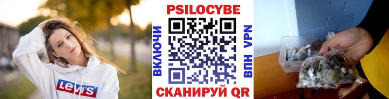 Псилоцибиновые грибы Psilocybine cubensis  это телеграм  Санкт-Петербург 